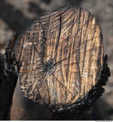 Photo Textures of Wood